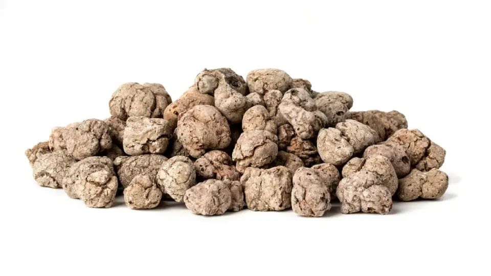 Budowa Domów Byczyna - MyQu.be